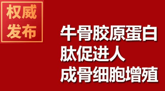 牛骨膠原蛋白肽促進人成骨細(xì)胞增殖